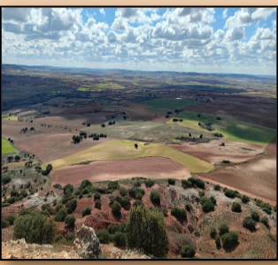 Propuesta de restauración espacio agronómo hacia sistema agroecológico en Torrejoncillo del Rey Cuenca